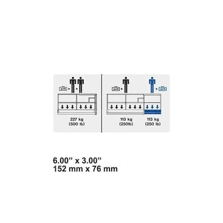 Skyjack REPLACEMENT DECAL, PLATFORM CAPACITY 500LB 130318