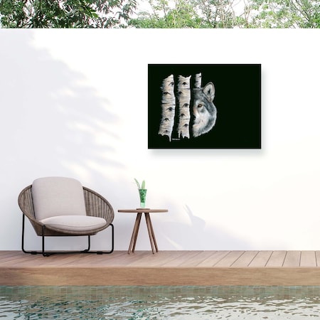 Trademark Fine Art Outdoor Canvas Art Dave Bartholet 'Shadow Dancer' Wall Art for Patios, or Gardens GRL00198-OC3547WR