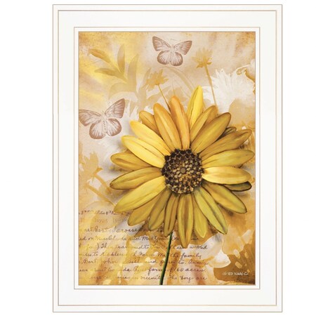 Homeroots Flowers and Butterflies II 2 White Framed Print Wall Art 406864