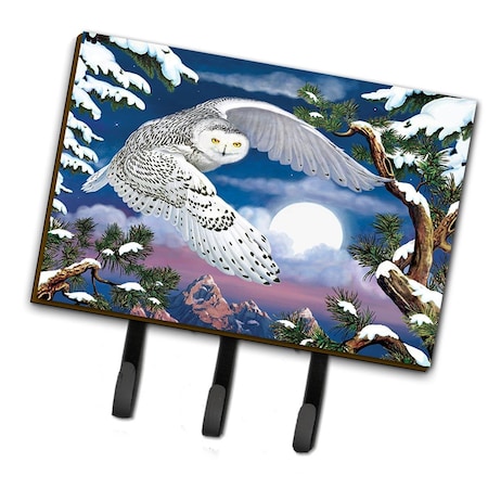 Carolines Treasures 6 x 2 x 9 in. Snowy Owl Leash or Key Holder PRS4030TH68