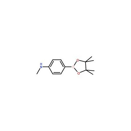 Ak Scientific 4-(N-Methylamino)phenylboronic acid pinacol ester (1g), CAS 845870-55-5 X2300-1g