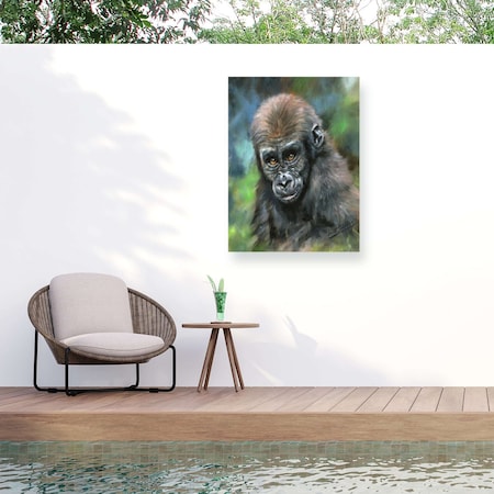 Trademark Fine Art Outdoor Canvas Art David Stribbling Baby Mountain Gorilla Wall Art for Patios, or Gardens GRL01536-OC3547WR