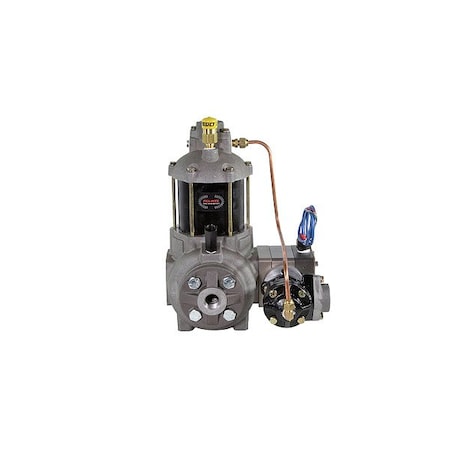 Fill-Rite Positive Displacement Flowmeter, 3/4 inSz TS06AS83AUPXXT9N