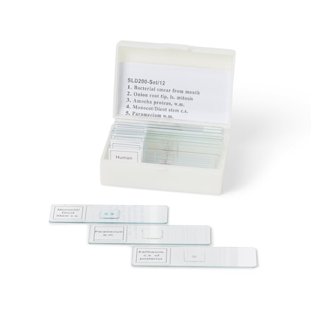 United Scientific Biology Prepared Slide Set, 12 Slides SLD200-SET/12