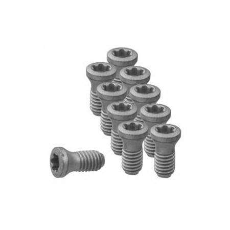 Garant Set of Insert Screws, 10 Pieces 219810