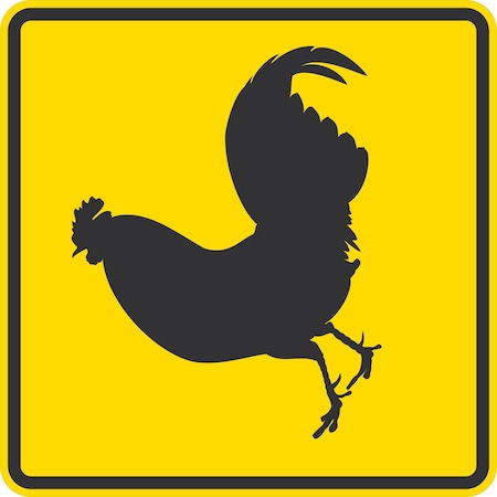 Lyle Rooster Crossing, 24x24, Diamond Grade, Yellow G-12583-DG_24x24