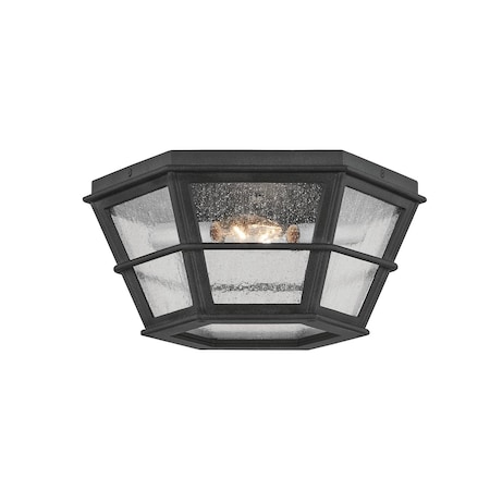 Troy Lighting Mark D. Sikes X Lake County 2 Light Flush Mount 13.75 In. French Iron C2514-FRN