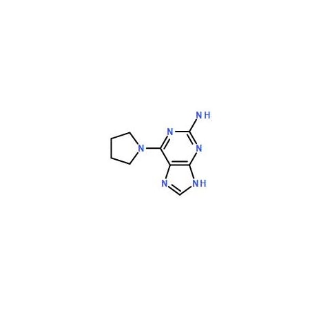 Ak Scientific Pivalimidamide hydrochloride (1g), CAS 18202-73-8 9536AA-1g