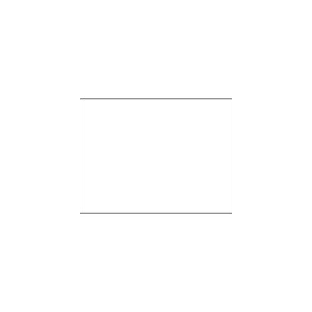 Bubblefast 3 x 4'' White Inventory Rectangle Labels BFDL631E