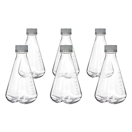 Eisco Scientific Erlenmeyer Flask, Colorless, 225 mm H, PK6 CH5264PK06