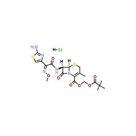 Ak Scientific Cefetamet pivoxil hydrochloride (1g), CAS 111696-23-2 H785-1g