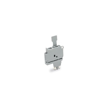 Wago Terminal Blocks, 50PK 2004-911/1000-867