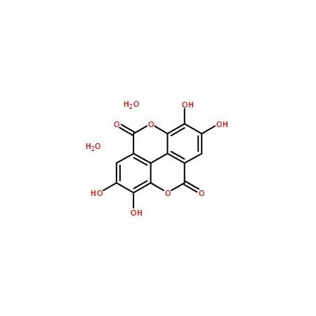 Ak Scientific Ellagic acid dihydrate (500g), CAS 476-66-4 F740-500g
