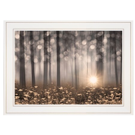 Homeroots Enchanted Morning 1 White Framed Print Wall Art 405026