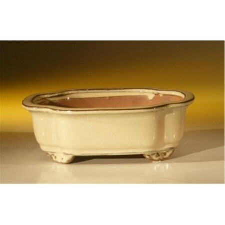 Paisaje 7 x 5.5 x 2.375 in. Ceramic Bonsai Pot, Beige - Oval PA3345466