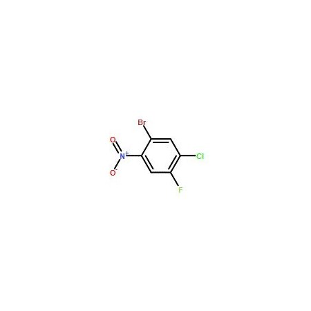 Ak Scientific 2-Bromo-4-chloro-5-fluoronitrobenzene (1g), CAS 960000-99-1 X7353-1g