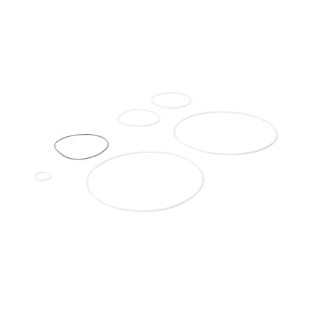 Fill-Rite Teflon Seal Kit SK20PTF-V13