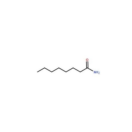 Ak Scientific n-Octanamide (1g), CAS 629-01-6 7980AF-1g