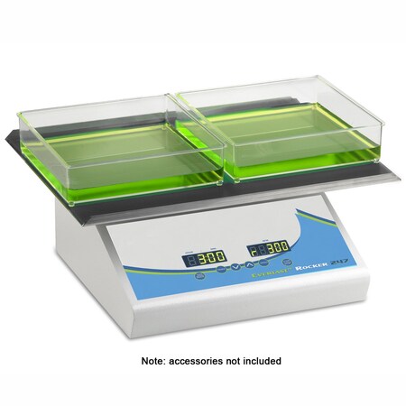 Benchmark Scientific Everlast Rocker 247, 12in x 16in single platform 400711