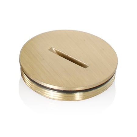 Leviton Plugs and Receptacles 5249-CAP