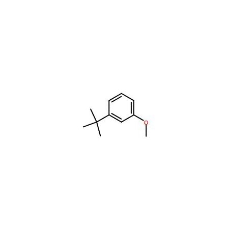 Ak Scientific 1-tert-Butyl-3-methoxybenzene (1g), CAS 33733-83-4 3071AH-1g