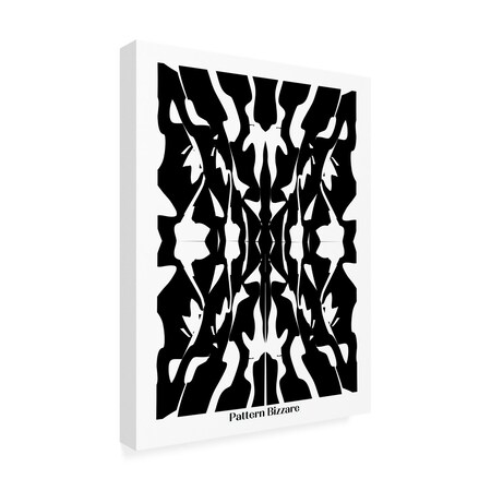 Trademark Fine Art Outdoor Canvas Art - Little Dean  'Pattern Bizarre In Black' Wall Art for Patios, or Gardens 1X29306-OC1824WR
