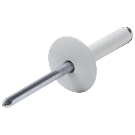 Allstar Performance Large Head Rivet, White, 250PK ALL18031