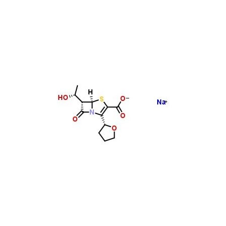Ak Scientific Faropenem sodium hydrate (5mg), CAS 122547-49-3 H969-5mg