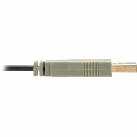 Tripp Lite Display Cable P569-010-MF-ACT