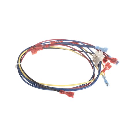 Frymaster Relay with Wire Harness, Pump, 24V, 50/60HZ 1066657