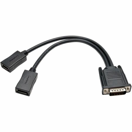 Tripp Lite Dual DisplayPort Cable, DMS-59, M, 2xF, 1ft P576-001-DP