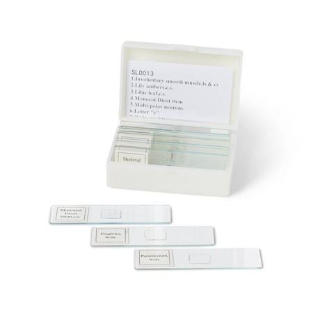 United Scientific Biology Prepared Slide Set, 13 Slides SLD013