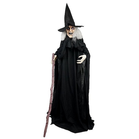 Santas Forest Animated Witch w/Cane, 6 ft H, Metal, PVC, Internal Light/Music: Internal Sounds, Indoor/Outdoor 56911