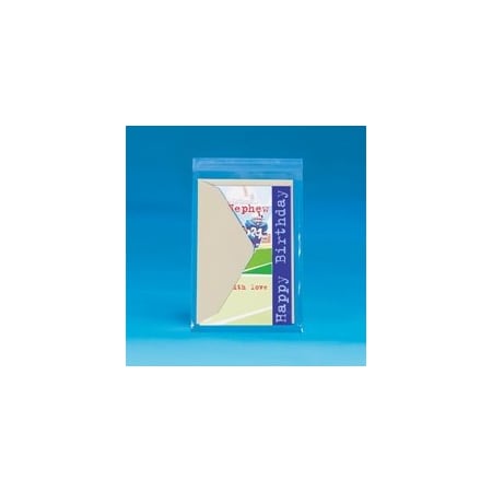 Bubblefast 1000-4 x 6'' - 1.5 Mil Resealable Polypropylene Bags, 1000PK BFPBR107