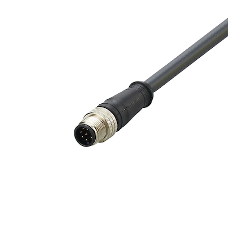 Brady IFMAll male cordsets E12436