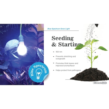 Miracle Led Strawberry Starter Grow Light Kit, UG Blue Spectrum, 2PK 803394