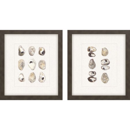 Homeroots Set Of Two Shell Series S/2 Brown Framed Print Wall Art, 2PK 526962