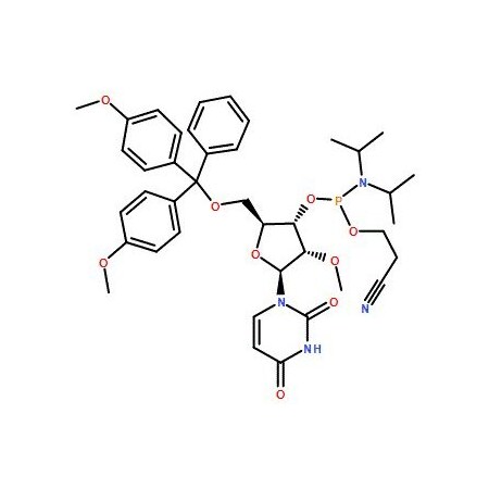 Ak Scientific DMT-2'O-Methyl-rU Phosphoramidite (1g), CAS 110764-79-9 1990AA-1g