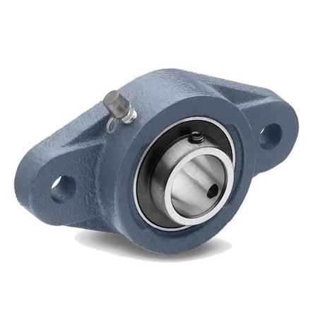 Nsk Mounted Unit Cast Iron UCFL206D1