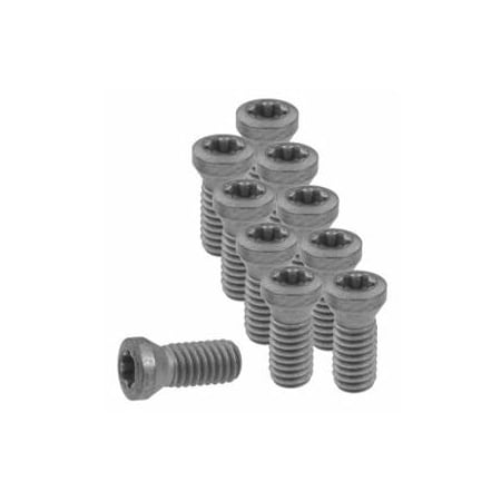 Garant Set of Insert Screws, 10 Pieces 219812