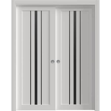 Sartodoors Sliding Closet Bypass Doors 36 x 84 inches, BASIC 4903 White with Black Glass, Rails Hardware Set BASIC4903DBD-WS-3684