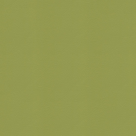 Abbeyshea Whisper, PVC Coated Faux Leather, Contract Grade, Upholstery Fabric, Sassafras Samples WHISPWHI2160M9X9