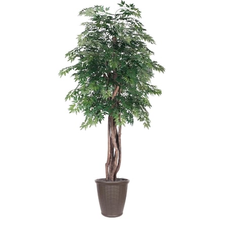 Vickerman 6 ft. Artificial Ming Aralia Executive Tree in Round Brown Container, Green TEX0660-RB