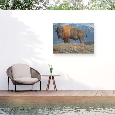 Trademark Fine Art Outdoor Canvas Art Jeff Hoff Sheer Power Wall Art for Patios, or Gardens GRL00550-OC2432WR