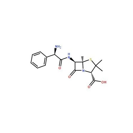 Ak Scientific Ampicillin, anhydrous (25g), CAS 69-53-4 K161-25g