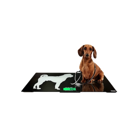 Bubblefast Veterinary Scales - 300 lb x 0.1lb LC-VS 330