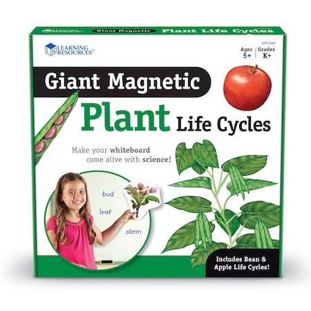 Learning Resources Giant Magnetic Plant Life Cycle, 12-Piece Set LER6045