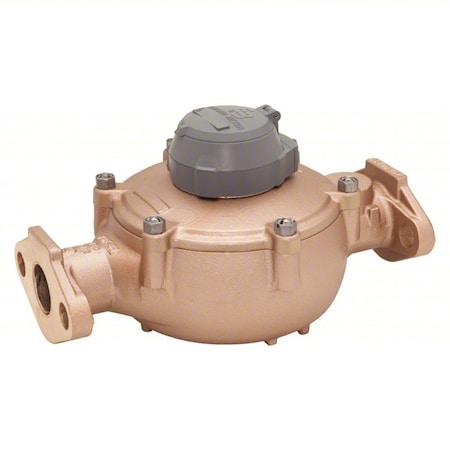 Badger Positive Displacement Flow Meter 107-8720