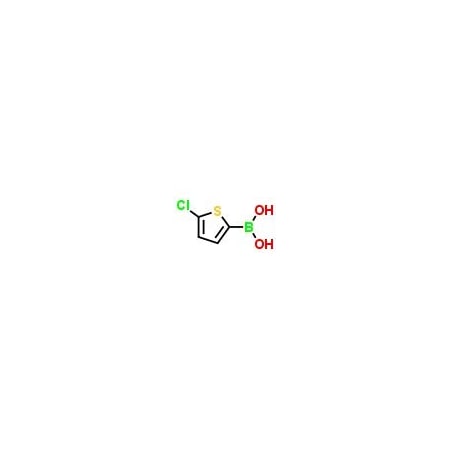 Ak Scientific 5-Chlorothiophen-2-boronic acid (1g), CAS 162607-18-3 E188-1g