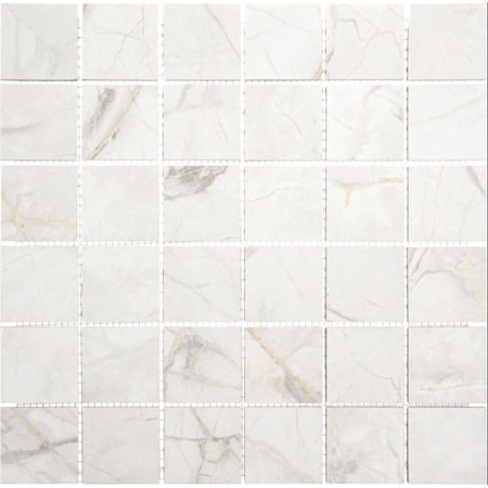 Andova Tiles SAMPLE-Venataro 2-in. x 2-in. Polished Natural Stone/ Marble Porcelain Floor and Wall Mosaic Tile SAM-ANDVENA1534